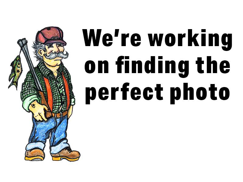 We're working on finding the perfect photo